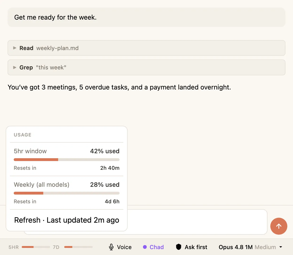 Hyo’s usage breakdown, opened from the status bar.